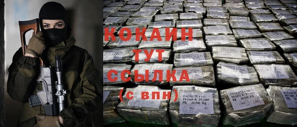 ALPHA PVP Бородино
