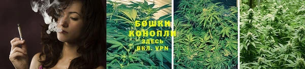 spice Бугульма